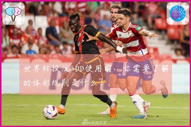 世界杯投注app使用前，你需要了解的体彩规则是什么？