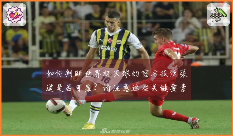 如何判断世界杯买球的官方投注渠道是否可靠？请注意这些关键要素