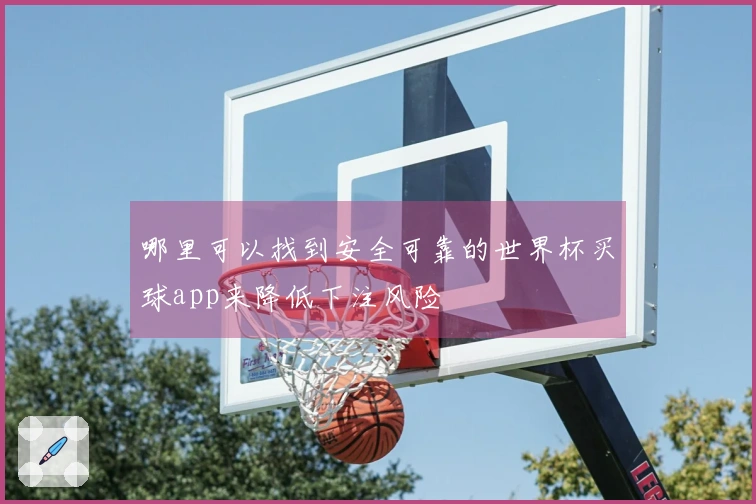 哪里可以找到安全可靠的世界杯买球app来降低下注风险