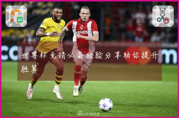 世界杯竞猜必备经验分享助你提升胜算