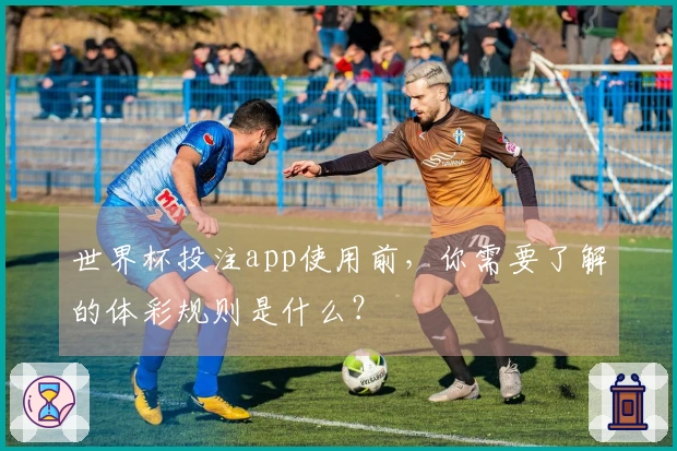 世界杯投注app使用前，你需要了解的体彩规则是什么？