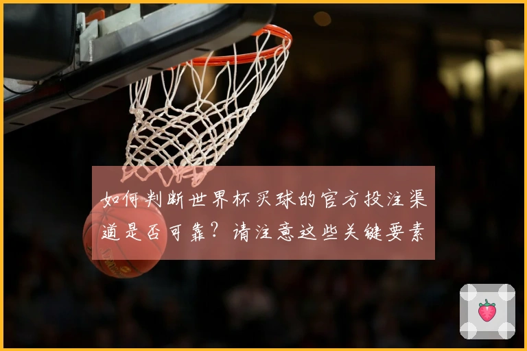 如何判断世界杯买球的官方投注渠道是否可靠？请注意这些关键要素