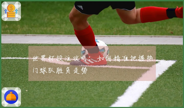 世界杯投注攻略：如何精准把握热门球队胜负走势